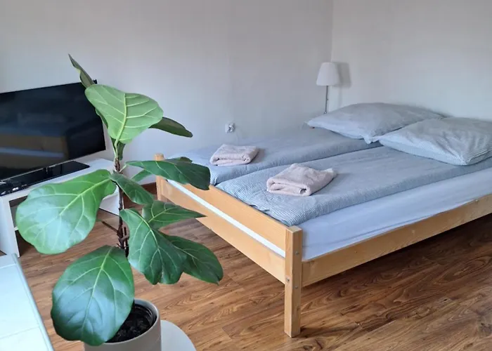 Apartament Zolkiewski
